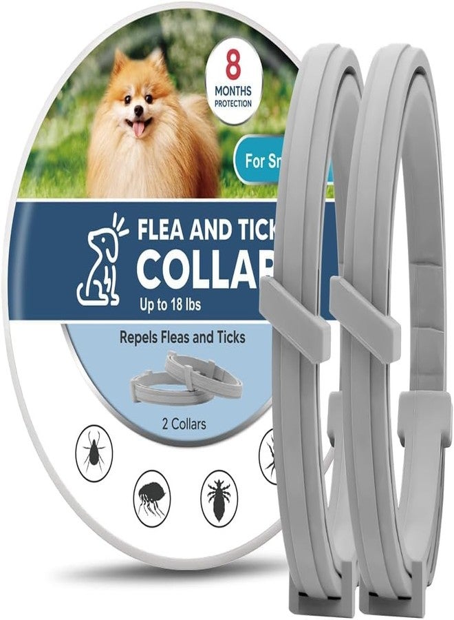 Elvana Dog Flea & Tick Collar for Dogs - Pack of 2 | Adjustable, Water-Resistant, Natural Ingredients | Rapid & Safe Protection for All Breeds - Image 1